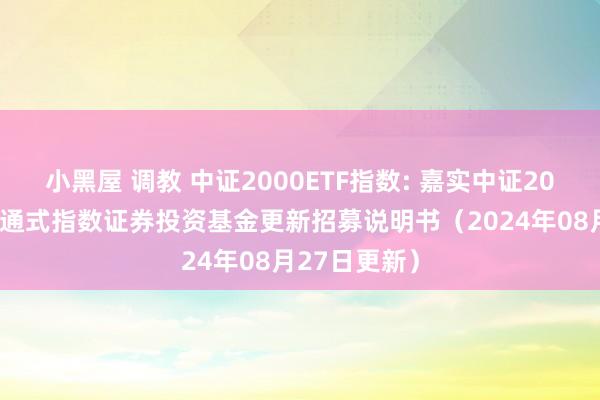 小黑屋 调教 中证2000ETF指数: 嘉实中证2000交易型灵通式指数证券投资基金更新招募说明书（2024年08月27日更新）