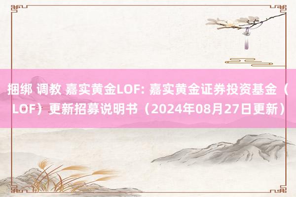 捆绑 调教 嘉实黄金LOF: 嘉实黄金证券投资基金（LOF）更新招募说明书（2024年08月27日更新）