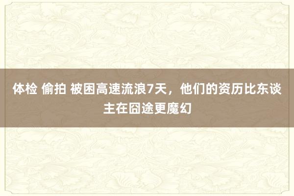 体检 偷拍 被困高速流浪7天，他们的资历比东谈主在囧途更魔幻